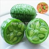 20pcs verdure e semi di frutta Mini anguria Sementi gusto come cetrioli Bonsai piante Semi per la casa e giardino foto / EUR 9,99