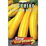 Vivai Le Georgiche Zucchino Giallo Gold Rush F1 (Semente) foto / EUR 6,50