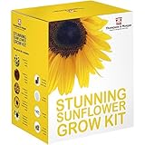 STUPENDO GIRASOLE SEME Kit per far crescere SCATOLA REGALO DA Thompson & MORGAN 5 COLORATO & CONTRASTO FIORI to Grow ; Helios,velluto Queen, NANO GIALLO Spray, & SAN VALENTINO SEMI foto / EUR 12,61