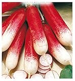 600 C.ca Semi Ravanello Mezzo Lungo Rosso A Punta Bianca 2 - Raphanus sativus In Confezione Originale Prodotto in Italia - Ravanelli lunghi foto / EUR 7,40