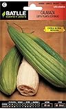 Semi ortaggi di Batlle - Zucca Luffa (Seeds) foto / EUR 5,29