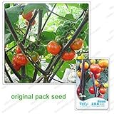 30 semi / pacchetto, Arcobaleno melanzane, semi di balcone Bonsai ornamentali di frutta Melanzane di colore foto / EUR 10,99