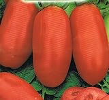 POMODORO SAN MARZANO NANO NR.200 SEMI foto / EUR 2,00