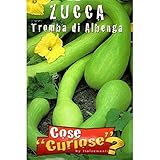 Vivai Le Georgiche Zucca Tromba Di Albenga (Semente) foto / EUR 3,90