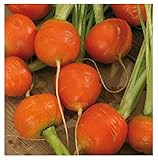 3600 C.ca Semi Carota Tonda Di Parigi Mercado De Paris 3 - Daucus Carota In Confezione Originale Prodotto in Italia - Carote tonde foto / EUR 7,40