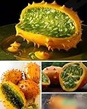 Pinkdose Hot vendita Kiwano semi di melone, Cucumis metuliferus, africano cetriolo, semi di verdure giardino domestico fai da te shippin libero 100PCS foto / 