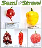 50 Semi PEPERONCINO delle 5 Varietà più PICCANTI del MONDO Collezione 5 + PICCOLA GUIDA COLTIVAZIONE 2016 IN OMAGGIO: CAROLINA REAPER, TRINIDAD MORUGA SCORPION YELLOW, TRINIDAD DOUGLAH BROWN, BHUT JOLOKIA / GHOST CHILI, 7 POD BRAIN STRAIN RED - I FRUTTI DELLA FOTO OVVIAMENTE NON SONO COMPRESI foto / EUR 8,90