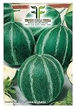 180 C.ca Semi Carosello Tondo Massafrese - Cucumis melo var - Adzhur In Confezione Originale Prodotto in Italia - Caroselli massafresi foto / EUR 7,40