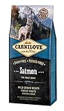 CARNILOVE Salmone 12 kg foto / EUR 57,00