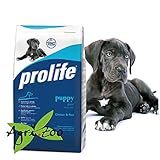 Prolife Puppy Giant 12 Kilogramm foto / EUR 44,75