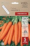 Hortus 07PRE030N Nantese 2 Carota, Nastro Preseminate, 13x0.7x20 cm foto / EUR 2,60