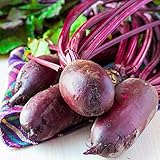 Semi di Rywal di barbabietola - Beta vulgaris var. conditiva foto / EUR 3,79