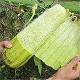 Semi Zucca Luffa foto / EUR 7,39