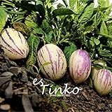 15PCS Pepino semi Solanum Muricatum melone pera frutta & verdura semi bonsai Home Garden Plant DIY spedizione gratuita foto / EUR 10,99