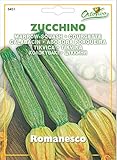 Hortus 56ZUC6431 Maxi Busta Ortovivo Zucchino Romanesco, 12x0.2x16.5 cm foto / EUR 0,79