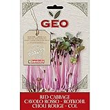 Geo Cavolo Rosso Semi da Germoglio, Marrone, 12.7x0.7x20 cm foto / EUR 10,78