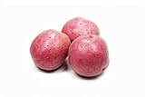 Seed Potatoes for Planting Russet - 5 lb photo / $39.97 ($0.50 / Ounce)