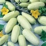 David's Garden Seeds Cucumber Pickling White Miniature 9881 (White) 50 Non-GMO, Open Pollinated Seeds photo / $4.45