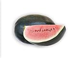 50 Black Diamond Watermelon Seeds for Planting - Heirloom Non-GMO Fruit Seeds for Planting - Grows Big Giant Watermelons Averaging 30-50 lbs photo / $5.99