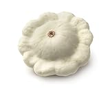 Early White Bush Scallop Summer Squash Seeds, Patty Pan Squash, 30 Heirloom Seeds Per Packet, Non GMO Seeds, Botanical Name: Cucurbita Pepo, Isla's Garden Seeds photo / $6.29 ($0.21 / Count)