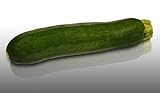 10 graines - COURGETTE Verte des Maraichers - Certifié AB - Curcurbita Pepo photo / 2,79 € (0,28 € / unité)