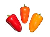 Paprika Mix (Snackpaprika) 30 Samen foto / 5,99 €