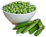 Non-GMO, Pea Seeds, 130 Seeds, Garden Sweet Pea photo / $5.05