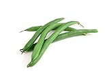 Slenderette Green Bean (Bush Bean) Seeds, 50+ Heirloom Seeds Per Packet, (Isla's Garden Seeds), Non GMO Seeds, Scientific Name: Phaseolus vulgaris photo / $5.99 ($0.12 / Count)