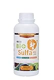 BioSulfa25 1L - Indoor Plant Fertilizer Indoor Potted Plants I Liquid Plant Food Indoor House Plants I Organic Plant Food I Liquid Lawn Fertilizer Concentrate I Indoor Plant Food I Organic Fertilizer photo / $16.99