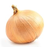 Onion Seeds, 200+ Yellow Sweet Spanish, Heirloom, Non GMO Seeds, Allium cepa photo / $5.99