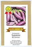 Aubergine - mittelspät - aus Griechenland - Tsakoniki - 80 Samen foto / 2,29 €