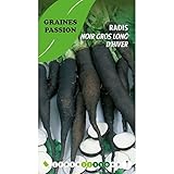 Graines Passion sachet de graines Radis noir gros long d'hiver photo / 5,50 €