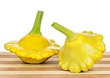 Gelbe Ufo Zucchini Yellow Squash - 20 Samen foto / 3,59 €