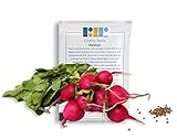 500 Cherry Belle Radish Seeds, USA Grown - Easy to Grow Heirloom Radish Seeds - Spring Vegetable Garden Seeds, First Harvest in 25 Days - Non GMO Radish Seeds - Premium Red Radish Seeds by RDR Seeds photo / $5.99 ($0.01 / Count)