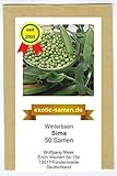 Wintererbse - Sima - 50 Samen foto / 2,19 € (0,04 € / stück)