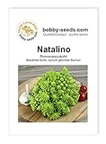 Kohlsamen Natalino Romanesco Portion foto / 1,95 €