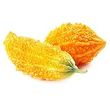 Bitter Gourd Seeds - 3 g Packet ~5 Seeds - Non-GMO, Heirloom Garden Seeds - AKA: Bitter Melon, Balsam Pear, Foo Gwa photo / $3.99 ($39.90 / Ounce)