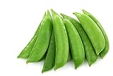 Sugar Daddy Snap Pea Seeds, 50 Heirloom Seeds Per Packet, Non GMO Seeds, Botanical Name: Pisum sativum, Isla's Garden Seeds photo / $5.99