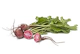 Chioggia Beet Seeds, 100+ Heirloom Seeds Per Packet, (Isla's Garden Seeds), Non GMO Seeds, Botanical Name: Beta vulgaris photo / $5.79 ($0.06 / Count)