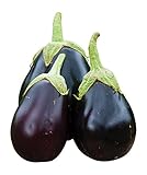 Burpee Early Midnight Eggplant Seeds 35 seeds photo / $8.58 ($0.25 / Count)