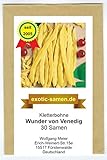 Kletterbohne - Wunder von Venedig - 30 Samen foto / 2,09 €