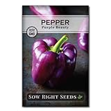 Sow Right Seeds - Purple Beauty Pepper Seed for Planting - Non-GMO Heirloom Packet with Instructions to Plant and Grow an Outdoor Home Vegetable Garden - Productive Sweet Bell Peppers - Great Gift photo / $5.49