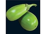 25 APPLEGREEN EGGPLANT Green Fruit / Vegetable Solanum Melongena Seeds photo / $3.00 ($0.12 / Count)