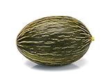 Heirloom Melon Seeds “Early Valencia” - Long Storage and Fast to Ripen “Winter Honeydew” or 