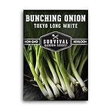 Survival Garden Seeds - Tokyo Long White Onion Seed for Planting - Pack with Instructions to Plant and Grow Asian Green Onions in Your Home Vegetable Garden - Non-GMO Heirloom Variety photo / $4.99