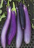 David's Garden Seeds Eggplant Ping Tung Long 7333 (Purple) 50 Non-GMO, Heirloom Seeds photo / $3.95