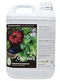 CULTIVERS Fertilizante Huerto Ecológico de 5 L. Abono Líquido para Hortalizas 100% Orgánico y Natural. Mejor Sabor, Mayor Calidad, Potencia el Crecimiento y Aumenta la Cosecha foto / 29,90 €