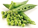 Non-GMO, Pea Seeds, 130 Seeds, Bend and Snap Pea photo / $5.05