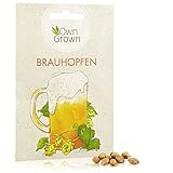 Hopfen Samen: Hopfen Saatgut für die Anzucht von ca. 5 Hopfen Pflanzen – Brauhopfen Samen – Hopfen Pflanze als Bier Geschenk – Kletterpflanzen winterhart schnellwachsend – Hopfen kaufen bei OwnGrown foto / 2,49 €