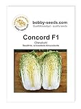 Kohlsamen Concord F1 Chinakohl Portion foto / 1,75 €